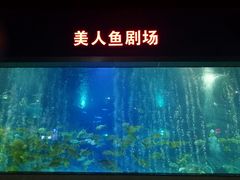 -福州罗源湾海洋世界旅游区