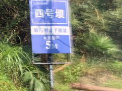 -龙井峡漂流