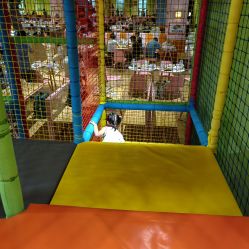 -宝燕乐园(闵行旗舰店)