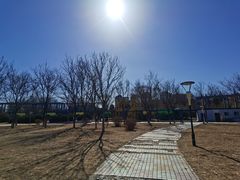 -太阳宫公园