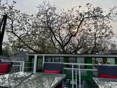 -EATALIA意塔利意式餐厅(鼓楼店)