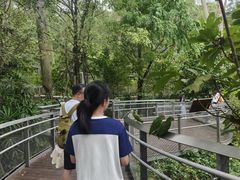 -新加坡飞禽公园