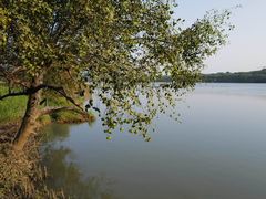 -华侨城湿地公园