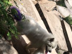 -碓臼峪自然风景区