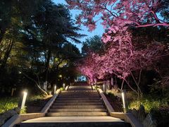 -烟台山景区