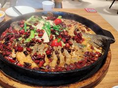 -老板恋上鱼(恒隆广场店)