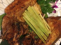 -紫滇源云南生态菜(丹凤街店)