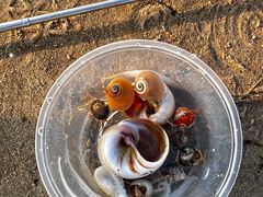 -沿江海南菜·文昌鸡祖师爷(大东海店)