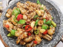 石锅牛蛙-古田会·肥肠鸡(古田店)