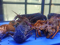 -皇朝会.经典传统粤菜(外滩店)