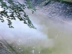 -东平国家森林公园