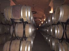 -北京张裕爱斐堡酒庄