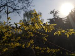 -山东师范大学(千佛山校区)