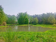 -桤木河湿地公园