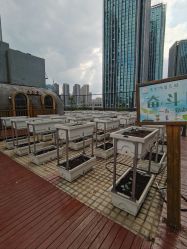 -三分地生态园·儿童乐园