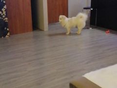 -鸿鹄足浴店(东门店)