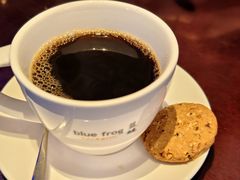 -blue frog蓝蛙(长泰广场店)