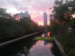-洲晓鲜·舟山海鲜大排档(朱家尖风景区店)