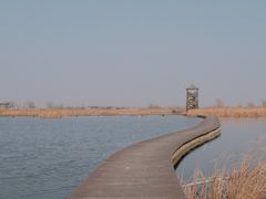 -盐城丹顶鹤湿地生态旅游区
