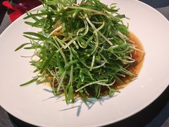 油醋汁浸坚果空心菜苗-广舟(千禧店)