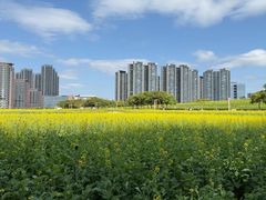 -光明小镇欢乐田园
