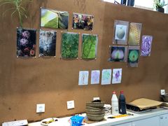 -UCCA Kids 儿童美育