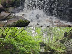 -汤旺河林海奇石景区