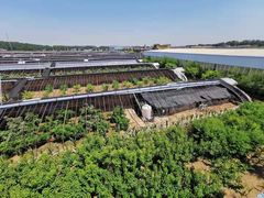 -呀路古热带植物园