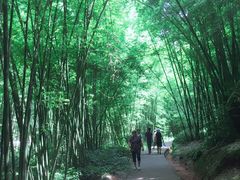-四洞沟景区