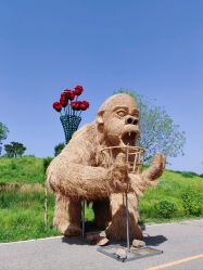 -密云玫瑰情园