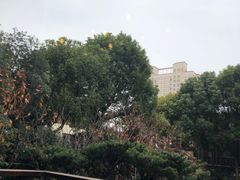 -上海虹桥宾馆味翠餐厅