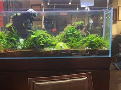 -阿莉餐厅(枣阳路店)