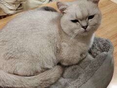 -龙湖杭州滨江天街