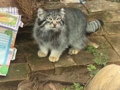 -青藏高原野生动物园