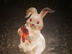 -昆山城市生态森林公园