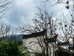 -婺源风景区