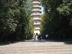 -灵谷景区
