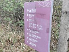 -江南天池