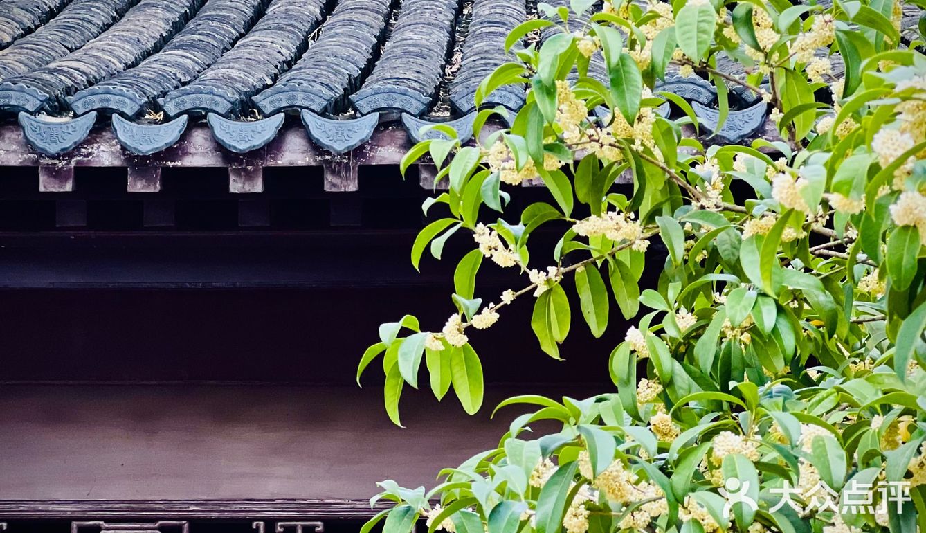 桂拂清风菊带霜