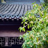 桂拂清风菊带霜