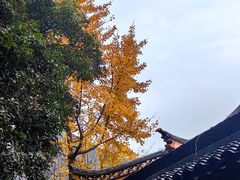 -狼山风景名胜区