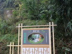 -沐川竹海旅游景区
