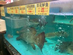 -花好悦园酒家(大石店)