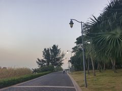 -深圳湾公园(南山区)