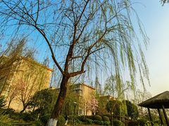 -成飞公园