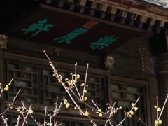 -颐和园
