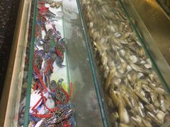 -339旋转餐厅(天府熊猫塔店)