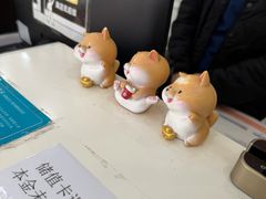-美联众合动物医院·24h京西诊疗中心
