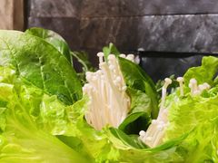 -哥老官重庆美蛙鱼头(宝山龙湖店)