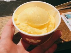 冰淇淋-夯鱼烤鱼·尔滨地标美食(国展店)